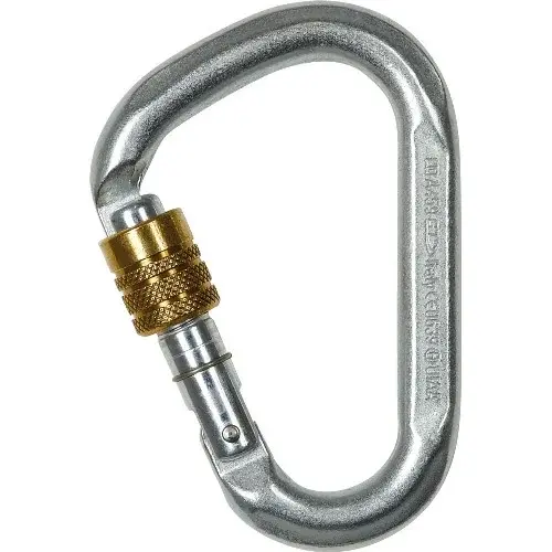 Mousqueton Climbing Technology Snappy Steel SG silver