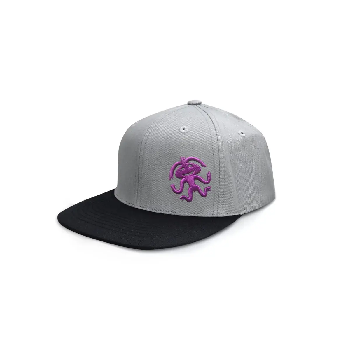 Casquette Rafiki Camp gray violet