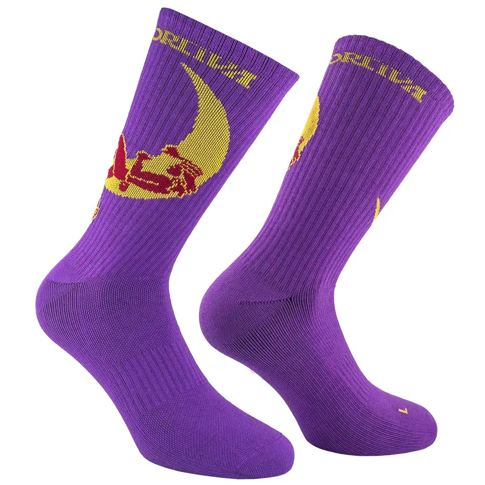 Chaussettes homme La Sportiva Climbing on the Moon purple/yellow