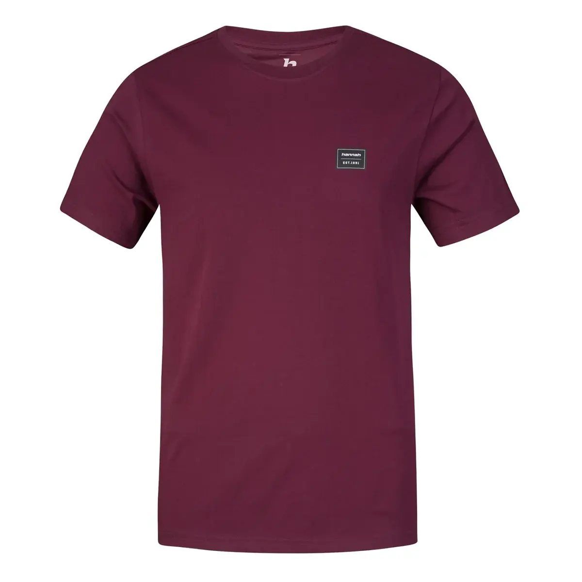 T-shirt outdoor homme Hannah Alsek II fig