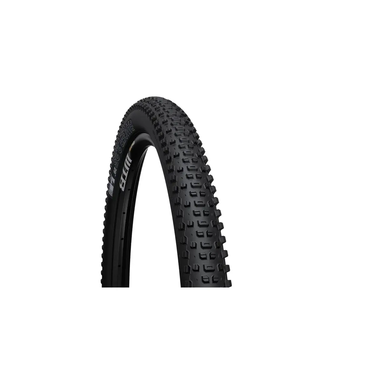 Pneu WTB Ranger 29x2.4 TCS Light Fast Rolling SG2 noir